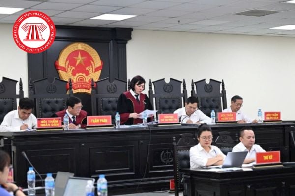 Pháp luật
