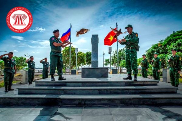 Pháp luật