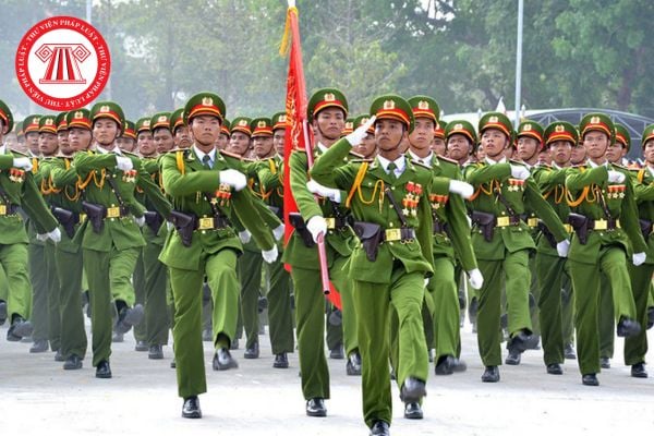 Pháp luật