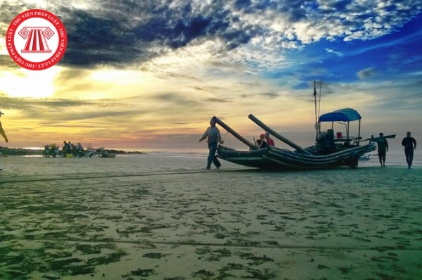 Pháp luật