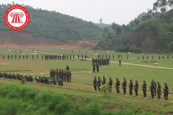 Pháp luật
