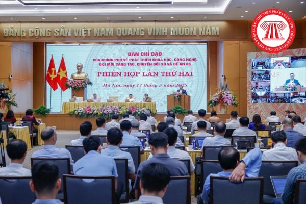Pháp luật