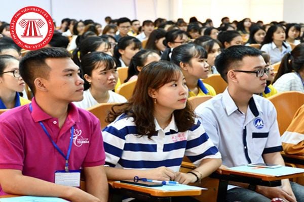 Pháp luật