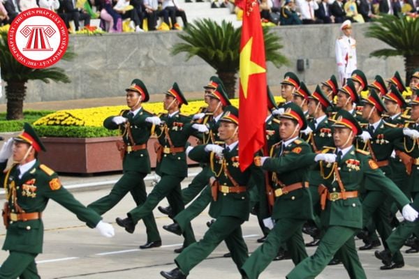 Pháp luật