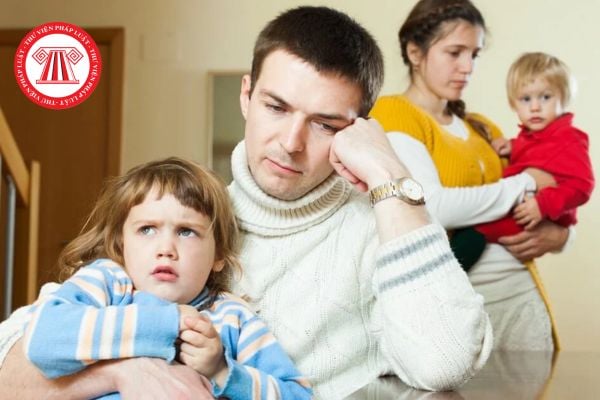 Pháp luật