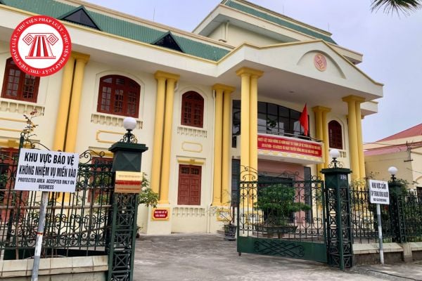 Pháp luật
