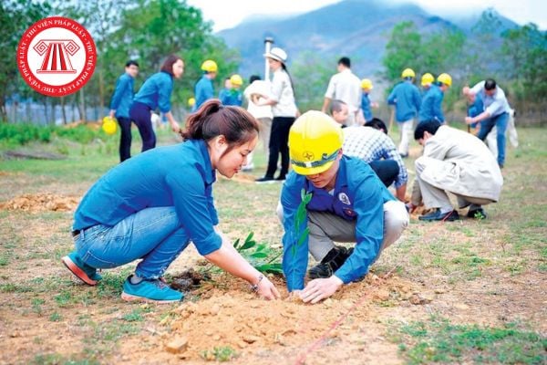 Pháp luật