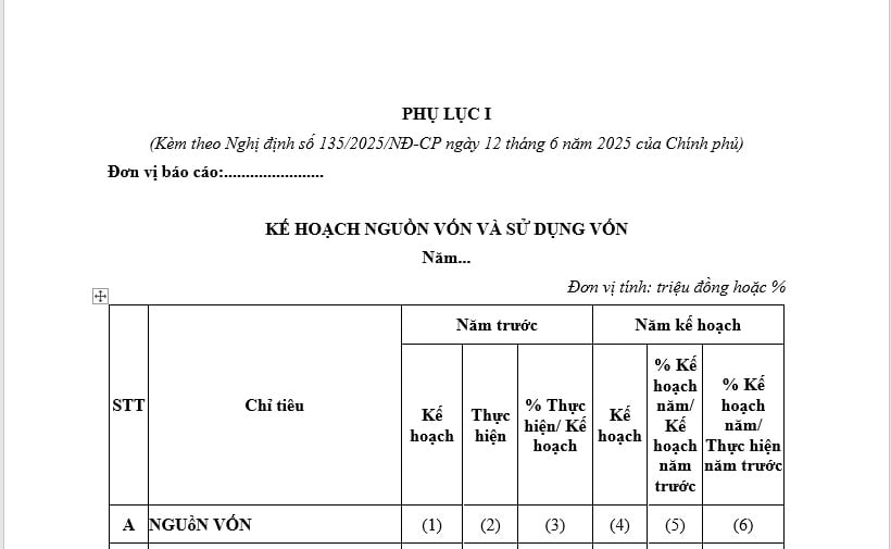 Mẫu Kế hoạch nguồn vốn và sử dụng vốn của tổ chức tín dụng, chi nhánh ngân hàng nước ngoài