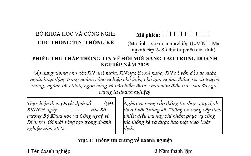 Mẫu phiếu thu thập thông tin về đổi mới sáng tạo trong doanh nghiệp