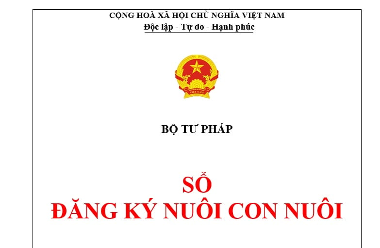 Mẫu Sổ đăng ký nuôi con nuôi theo Nghị định 196? 