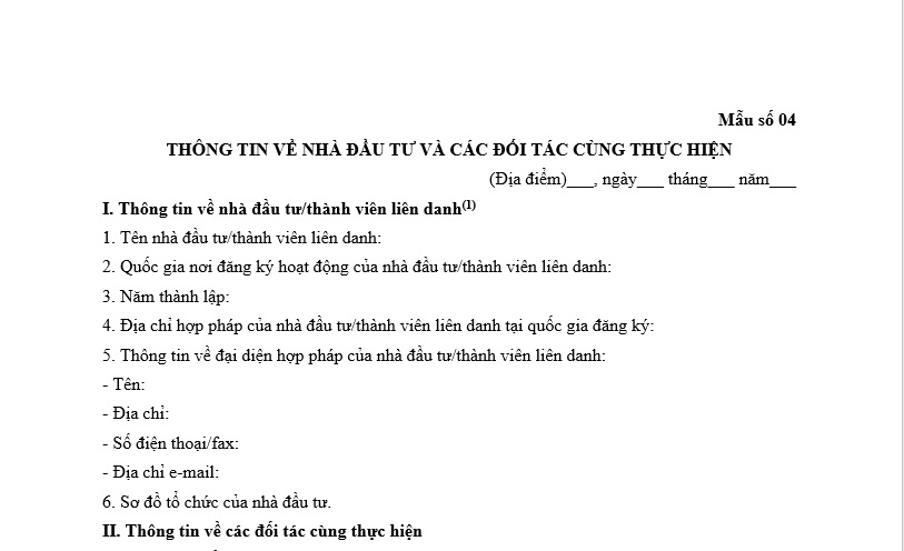Mẫu thông tin về nhà đầu tư và các đối tác cùng thực hiện dự án đầu tư công trình năng lượng