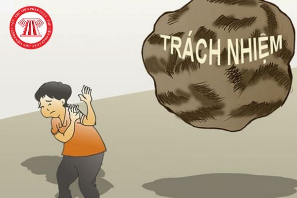 Pháp luật