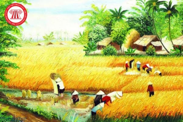 3 Mẫu bài văn ngắn phân tích bài Mùa xuân chín ngắn gọn lớp 11? Học sinh lớp 11 được khen thưởng khi nào?