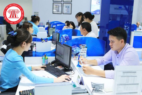 Pháp luật