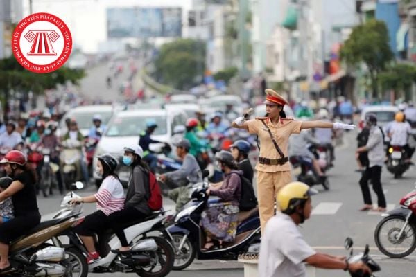 Pháp luật