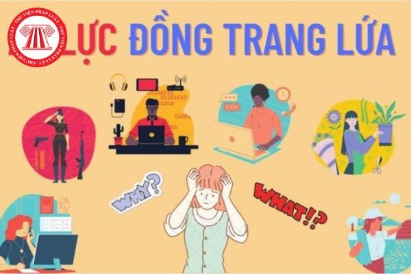 Pháp luật