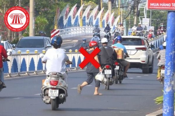 Pháp luật