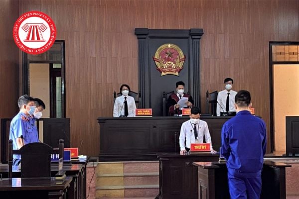Pháp luật
