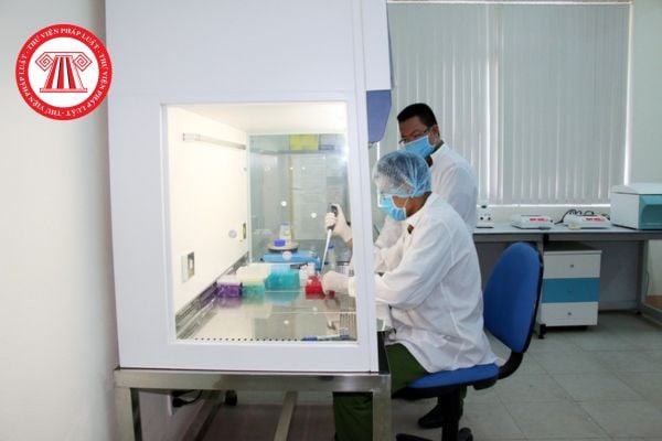 Pháp luật
