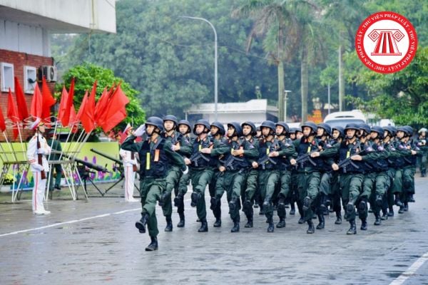 Pháp luật