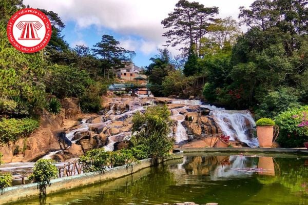 Pháp luật