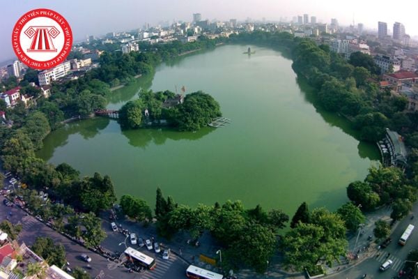 Pháp luật