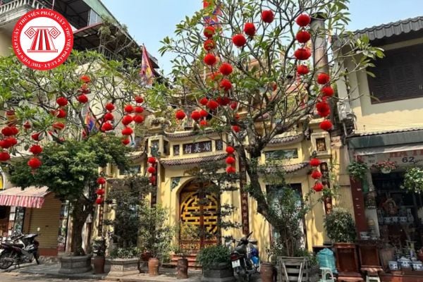Pháp luật