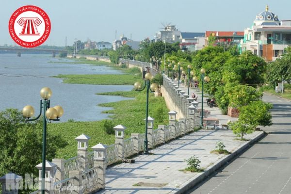 Pháp luật