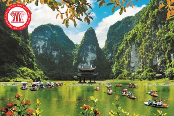 Pháp luật