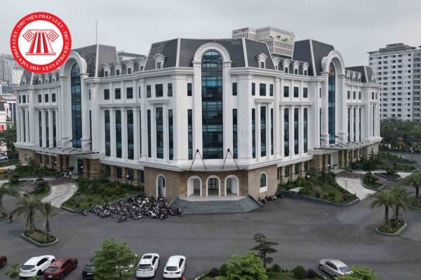 Pháp luật