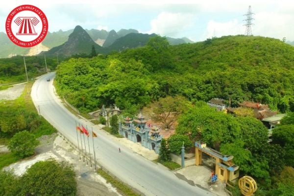 Pháp luật