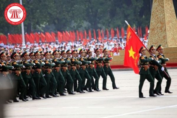 Pháp luật