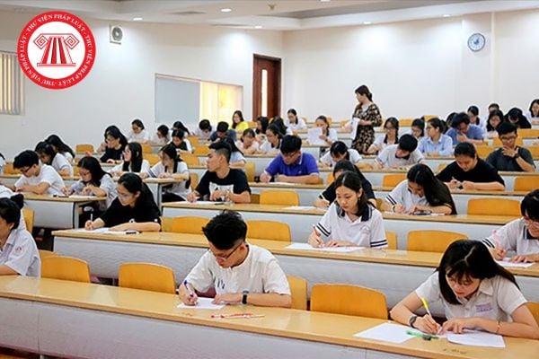 Pháp luật