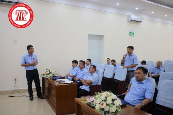 Pháp luật