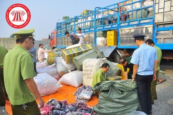 Pháp luật