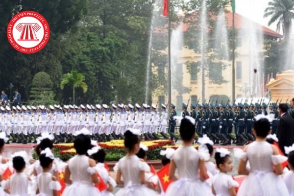 Pháp luật