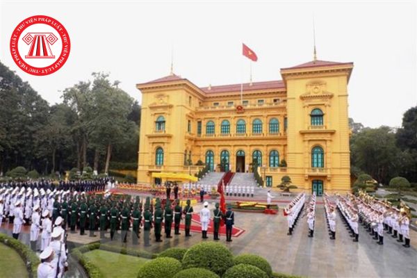 Pháp luật