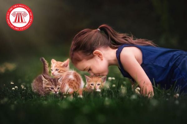 Viết đoạn văn với câu chủ đề Chúng ta cần đối xử thân thiện với động vật? Yêu cầu về viết đoạn văn đối với học sinh lớp 5?