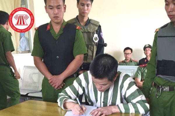 Pháp luật