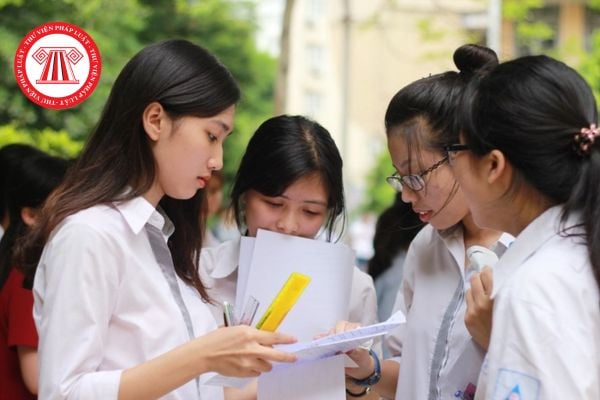 Pháp luật