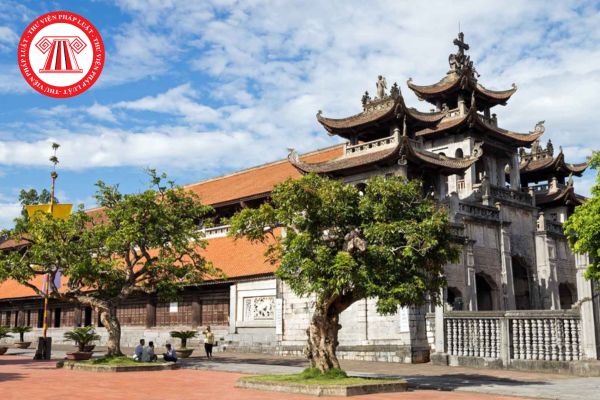 Pháp luật