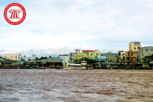 Pháp luật