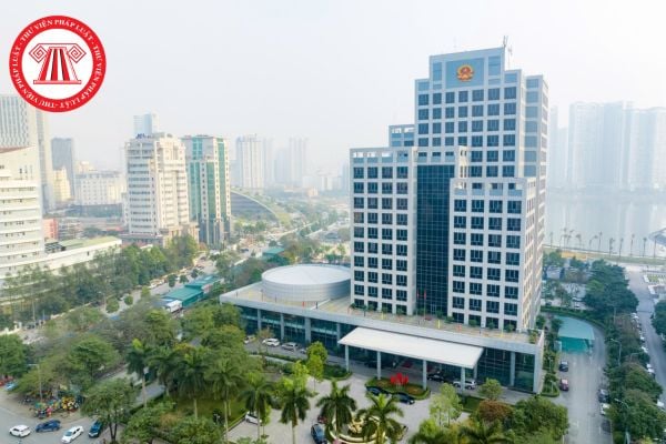 Pháp luật