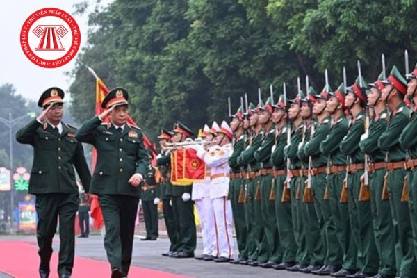 Pháp luật