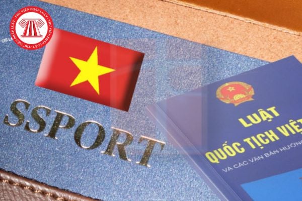 Pháp luật
