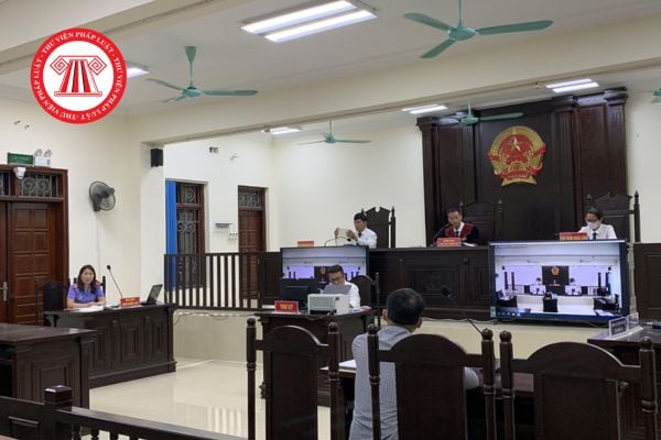Pháp luật