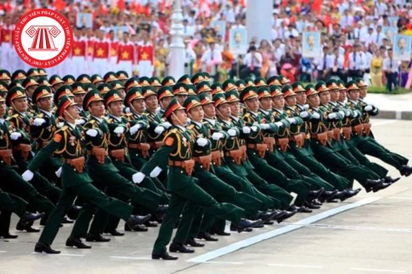 Pháp luật