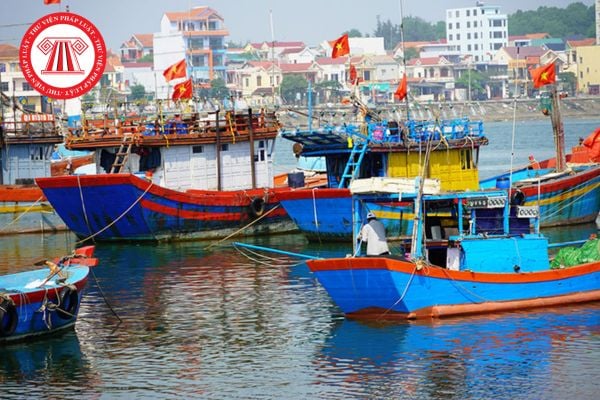 Pháp luật