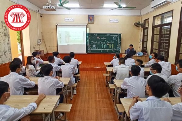 Pháp luật