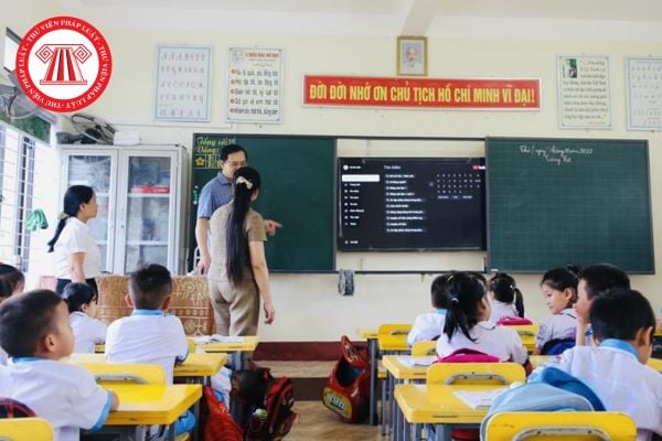 Pháp luật